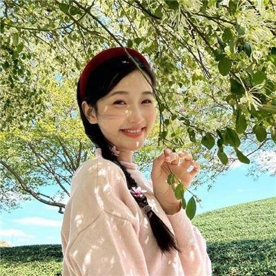 俏空姐环游世界 海报